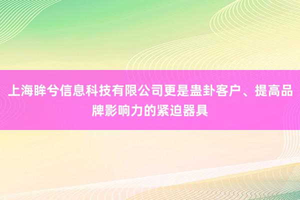 上海眸兮信息科技有限公司更是蛊卦客户、提高品牌影响力的紧迫器具